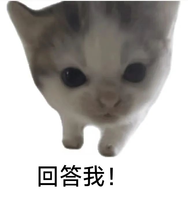 厨房瓷砖地上蹲着一只橘猫,耳朵前倾,眼睛紧盯冒热气的不锈钢锅,胡须微微颤动,尾巴圈在身侧像问号